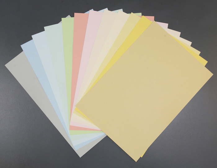 hyoushi02a_l レモンや浅黄など、厳選したパステルカラー12種類の中からお選びいただけます。